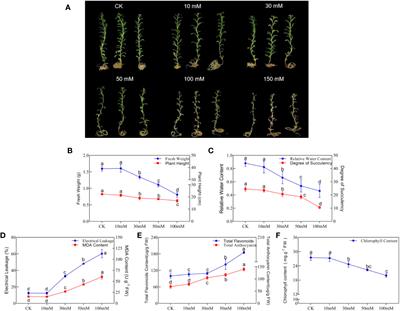 Exogenous abscisic acid and sodium nitroprusside regulate flavonoid biosynthesis and photosynthesis of Nitraria tangutorum Bobr in alkali stress